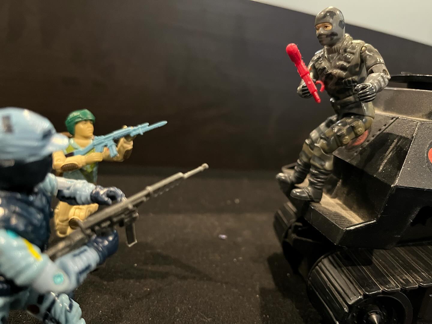 Got him cornered